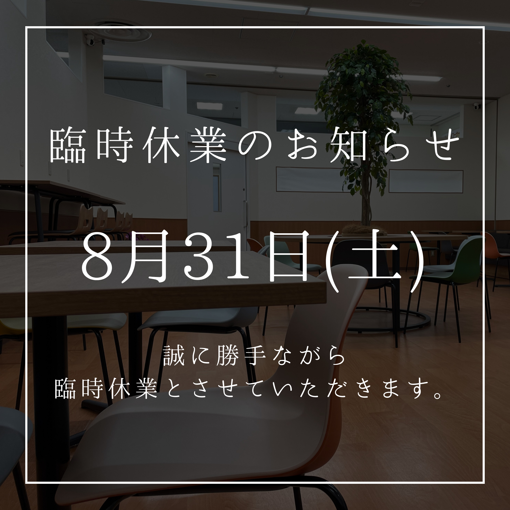 オーダー受付お休み中 オーダー受け付け 休みのお知らせ 【公式通販】